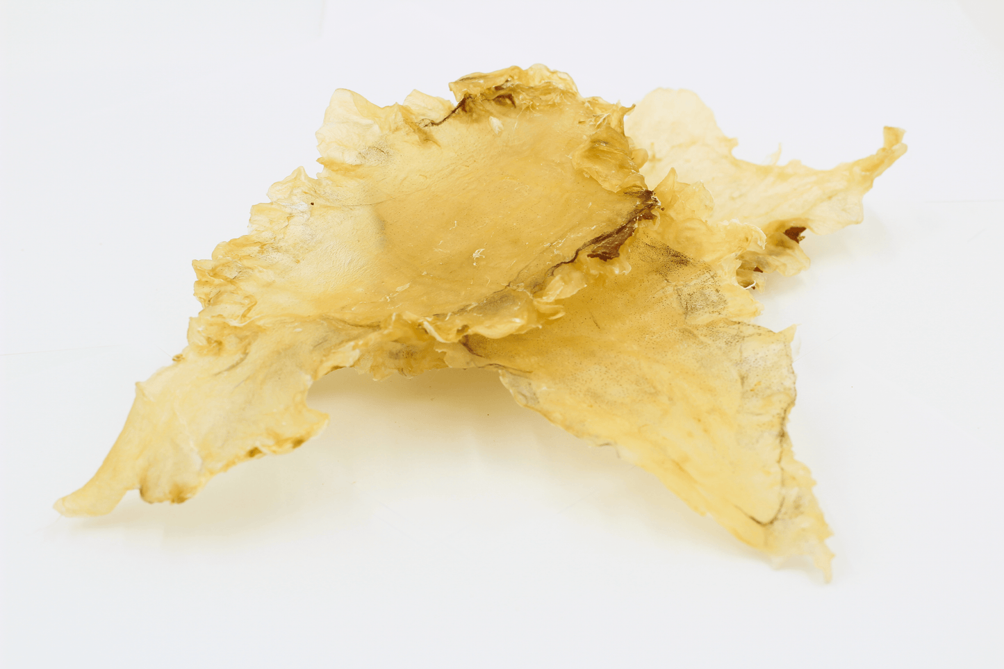【北美当地配送，直邮全球】北极冰鳕鱼花胶-加拿大花胶源头工厂出产-带膜无化学漂染-超大规格7-9片（袋/227克）