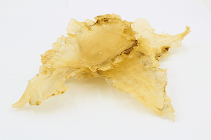 【北美当地配送，直邮全球】北极冰鳕鱼花胶-加拿大花胶源头工厂出产-带膜无化学漂染-超大规格7-9片（袋/227克）