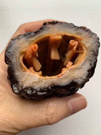 【北美当地配送，直邮全球】加拿大海参-北极冰参王-超大号约18-22头（袋/454g）